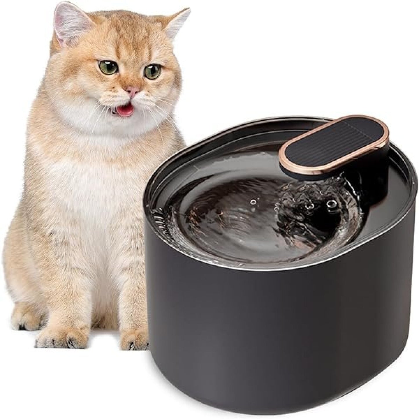 🐾 AQUAMIAU™ - Hidratación felina