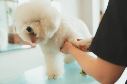 🐾 AFEITAMIAU™ - Corte Profesional para Mascotas